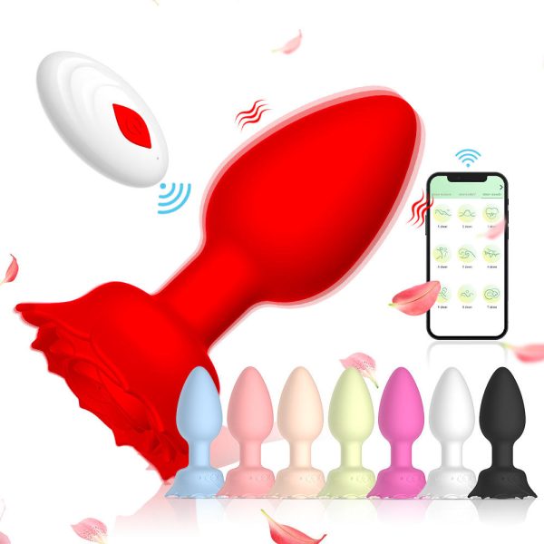APP Remote Control Male Anal Plug 9 Vibration Modes Anal Sex Toy Prostate Massager Vibrador Anal for Men and Women