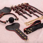 OEM Sex Toys Bondage Adult BDSM Kit 7pcs Black Handcuff With Suitcase Toys - 图片 2