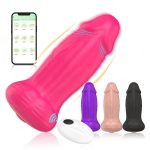 10 Frequency Modes APP Control G Spot Clitoris Stimulator Vibrator Sex Toy Women Adult Toy Sex Adult Vibrators for Female - 图片 2