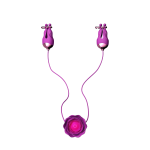 OEM Adjustable Rechargeable Nipple Vibrator 10 Mode USB Powered Dildo Adult Toys for Couples and Women - 图片 3