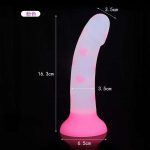 OEM Colorful Liquid Silicone Glowing in Dark Dildo Soft Realistic Anal Plug Dildo Women Masturbation Toys - 图片 3
