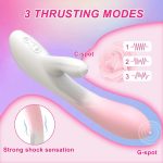 2024 Hot Selling Liquid Silicone Rabbit Vibrator Soft Intense Vibration G-spot Massage Clitoral Stimulation Sex Toys for Women - 图片 3