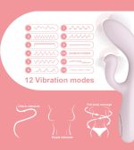 Dual Motor 12 Frequency Rabbit Vibrator Japanese Girl Sexy Hot Vibrator Sex g Spot Vibrator for Women - 图片 3