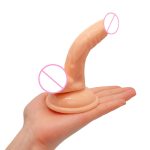 Mini Curved Penis Suction Cup Ultra-small Soft Mini Simulation Small Penis Anal Plug - 图片 3