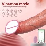 OEM Dildo for Man Huge Realistic Vibrator for Women Para Mujer Strap on Dildo for Man Dildo Sleeves - 图片 3