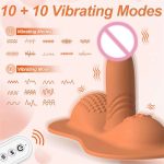 OEM Vibrators Dildo with 10 Vibrating Modes Remote Control Vibrator Anal G-Spot Double Stimulator Dildo Adult Sex Toy - 图片 4
