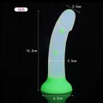OEM Colorful Liquid Silicone Glowing in Dark Dildo Soft Realistic Anal Plug Dildo Women Masturbation Toys - 图片 4