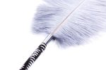 OEM Adult Toys for Couples Long Osstrich Feathers Stick Hot Wholesales Sex Products Flirting Scratching Stick Feather - 图片 4