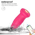 10 Frequency Modes APP Control G Spot Clitoris Stimulator Vibrator Sex Toy Women Adult Toy Sex Adult Vibrators for Female - 图片 4