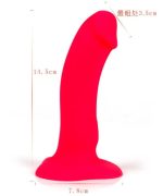 Strap on Silicone Dildo Vibrator Sex Toys for Woman Harness Chastity Detachable with Panty Female Masturbator Les Sex Product - 图片 4