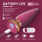 Anal Plug Vibrators Wholesale 9 Patterns Vibrating G Spot Stimulator Long Distance App Anal Vibrators for Men - 图片 5