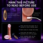 Hot Selling Remote Control Automatic Vibrating Dildo Realistic Thrusting Dildo Vibrator for Women - 图片 6