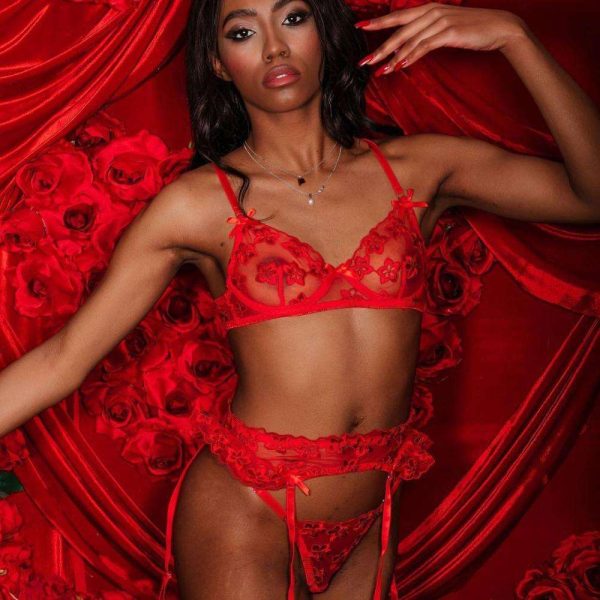 A Popular European and American Lace Mesh Embroidered Romantic Lingerie Set with Flower Embroidery and Steel Rings