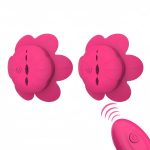 Hot Sale 10 Speed Vibration Modes Nipple Clamp Remote Clitoral Breast Stimulator Sex Toy for Women