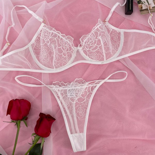 New Design Back Closure Sexi Brief Bra Set with Underwire Floral See Through Sexual Underwear