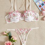 European and American Pink Lingerie Women Padded Embroidery Sling Perspective Sexy Erotic Fancy Lingerie Underwear