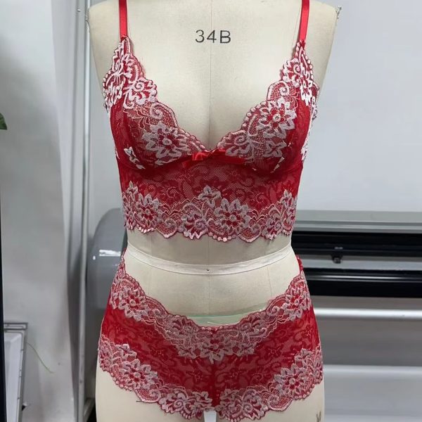 Sweet Lace Floral Embroidered Sexy Lingerie Pure Desire Tempting See-Through Three-Point Boxer Design Hot Transparent Floral