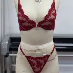 Hot-Selling Floral Embroidery Sexy Lingerie Thong Set Soft Embroidery Sheer Mesh Bra & Briefs Pure Desire Lingerie
