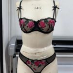 Women's Sexy Pure Desire Floral Embroidery Lace Push-up Side Breast Control Lingerie Set Logo Positioned Waist Bra & Briefs