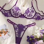 Wholesale Young Lady Fancy Push up Embroidered See Through Bra Top Sexy Bandage Erotica Bra Panty Set