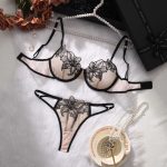 Wholesale Young Lady Fancy Push up Embroidered See Through Bra Top Sexy Bandage Erotica Bra Panty Set