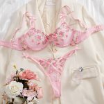 Erotic Lingerie Set Sexy See-Through Pink Mesh Heart Embroidery Gathered Bra Set for Women Sexy Underwear Set