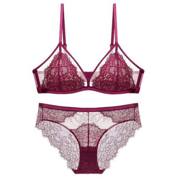 Wholesale Ultra-Thin Sexy Madam French Bra Lingerie Set for Women Hollow See-Through Mesh Bra Underwear with Lace Decoration