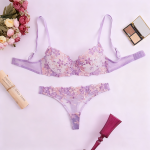 Women's Sexy Lace Bra Set Transparent Fashion Plus Size Luxurious Push-Up Sexy Lingerie Lace Bra and Briefs Set