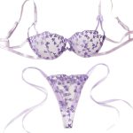 Best-selling Pure Sensual Lace Embroidered Heart-shaped Lace Romantic Lingerie See-through Set, Lace Seductive