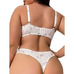Pure Desire Lace Plus-size Sexy Lingerie Set: Women's Thin, Large-bust, Petite and Sexy Accessory Breasts, Adjustable Bra - 图片 2