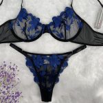Pretty Blue Floral Embroidery Striking Black Mesh Bra and Thong Set Sexy Underwear with Light Lace Decoration - 图片 2