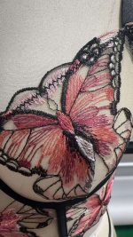 Women's Summer Sexy Elegant Bra Panties Set Transparent Butterfly Heavy Embroidery with Seamless Waistband Plain Dyed Techniques - 图片 2