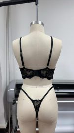 Pure Desire French Lace Push-Up Bra for Women Without Underwire Sexy See-Through Women's Sexy Black Lingerie Set - 图片 2