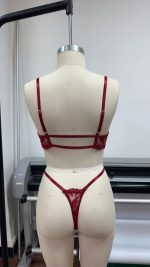 Hot-Selling Floral Embroidery Sexy Lingerie Thong Set Soft Embroidery Sheer Mesh Bra & Briefs Pure Desire Lingerie - 图片 2