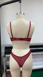 French Lace Embroidery Sexy Lingerie Set Low-Rise Underwire Bra with Logo on Waist to Prevent Sagging Solid Pattern Thongs - 图片 2