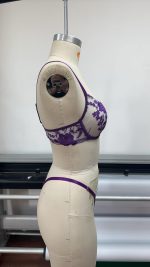 Wholesale Young Lady Fancy Push up Embroidered See Through Bra Top Sexy Bandage Erotica Bra Panty Set - 图片 2