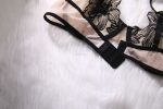 Wholesale Young Lady Fancy Push up Embroidered See Through Bra Top Sexy Bandage Erotica Bra Panty Set - 图片 2