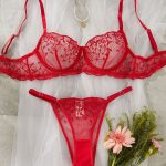 2025 New Design Womens Sets Lace Lingerie Sexy Ladies Underwear Lingerie Set Lace for Women's Clothing Sexy Lingerie Ladies - 图片 2