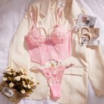 No Minimum Erotic Lingerie Set Sexy See-Through Pink Mesh Heart Embroidery Gathered Bra Set for Women Sexy Underwear Set - 图片 2