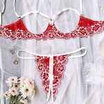 Hot Sale Sexy Lace Erotic Women's Summer Bra Panties Set Lady Lingerie Underwear with Brassiere & Briefs - 图片 2