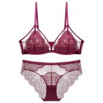 Wholesale Ultra-Thin Sexy Madam French Bra Lingerie Set for Women Hollow See-Through Mesh Bra Underwear with Lace Decoration - 图片 2