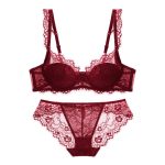 Hot Sale Ultra-Thin Sexy Madam French Bra Lingerie Set for Women Hollow See-Through Mesh Bra with Lace Decoration for Summer - 图片 2
