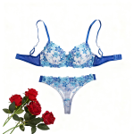 Wholesale Sexy Exotic Women's Clothing Sexy Underwear Set Women Sexy Bra and Thong Garter Belt Sets Sexy Lingerie - 图片 2