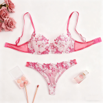 Factory Made Sexy Exotic Women's Clothing Sexy Underwear Set Women Sexy Bra and Thong Garter Belt Sets Sexy Lingerie - 图片 2