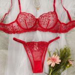 European and American Pure Desire Ultra-thin Cup Bra Cover with Steel Ring Support Breast Cover See-through Sexy Underwear - 图片 3