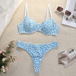 European and American Bestsellers of Romantic Lingerie, Heart-shaped Printed Mesh Fabric Set, Steel Ring Sexy Lingerie Set - 图片 3