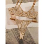European and American Women's Underwear Ultra-thin See-through Bra Lace Sexy Steel Ring Gathering Thin Romantic Underwear Set - 图片 3
