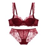 A Popular French Sexy and Romantic Mesh Women's Lingerie Set From Europe and America, a Breathable and Lace Bra Set - 图片 3