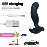 Remote Control Dual Motor G Spot Stimulating Adult Vibrating Prostate Massage Anal Butt Plug Sex Toys for Male Masturbating - 图片 3