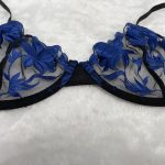 Pretty Blue Floral Embroidery Striking Black Mesh Bra and Thong Set Sexy Underwear with Light Lace Decoration - 图片 3
